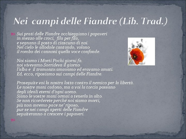 Nei campi delle Fiandre (Lib. Trad. ) Sui prati delle Fiandre occhieggiano i papaveri