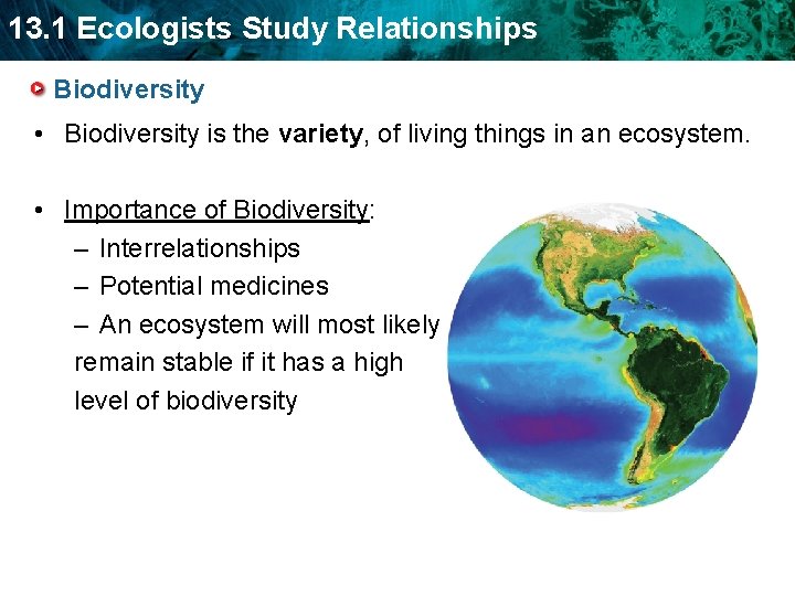 13. 1 Ecologists Study Relationships Biodiversity • Biodiversity is the variety, of living things