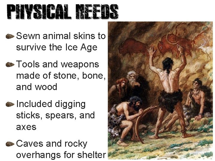 Sewn animal skins to survive the Ice Age Tools and weapons made of stone,