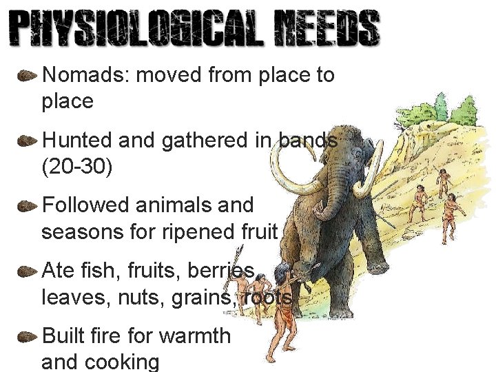 Nomads: moved from place to place Hunted and gathered in bands (20 -30) Followed