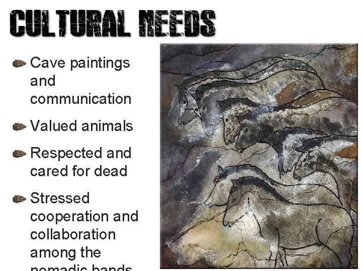 Cave paintings and communication Valued animals Respected and cared for dead Stressed cooperation and