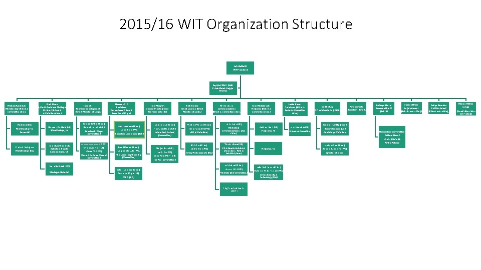 2015/16 WIT Organization Structure Lisa Dezzutti WIT President Support Staff (RMK Productions- Reggie Kouba)
