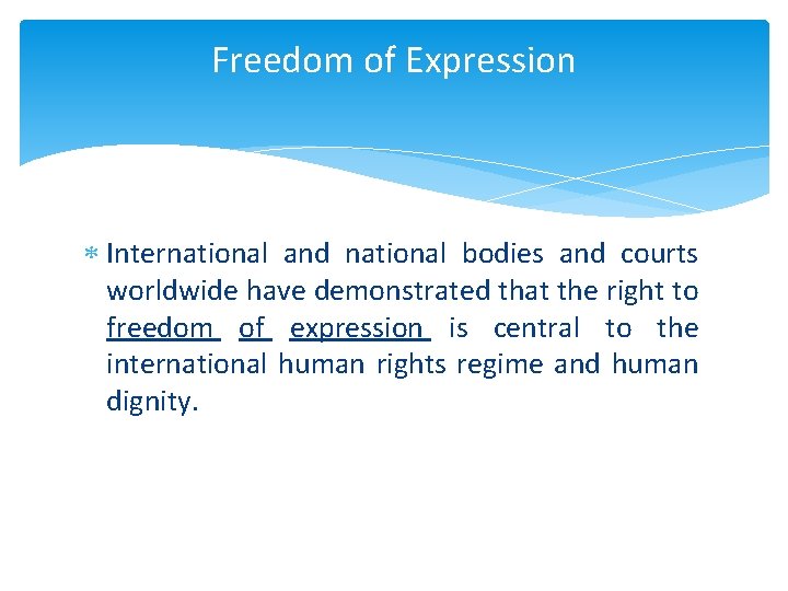 Freedom of Expression International and national bodies and courts worldwide have demonstrated that the