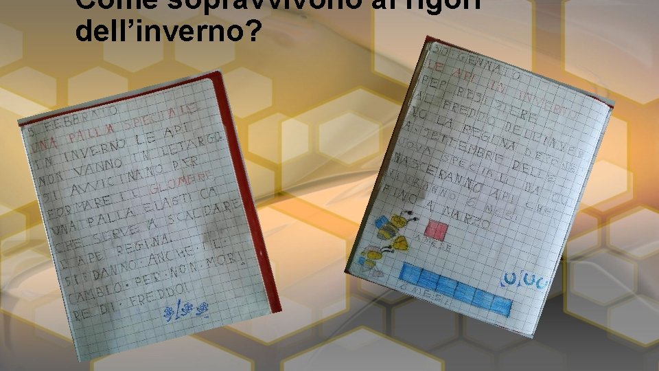 Come sopravvivono ai rigori dell’inverno? 