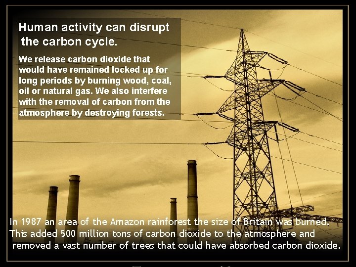 Human activity can disrupt the carbon cycle. We release carbon dioxide that would have