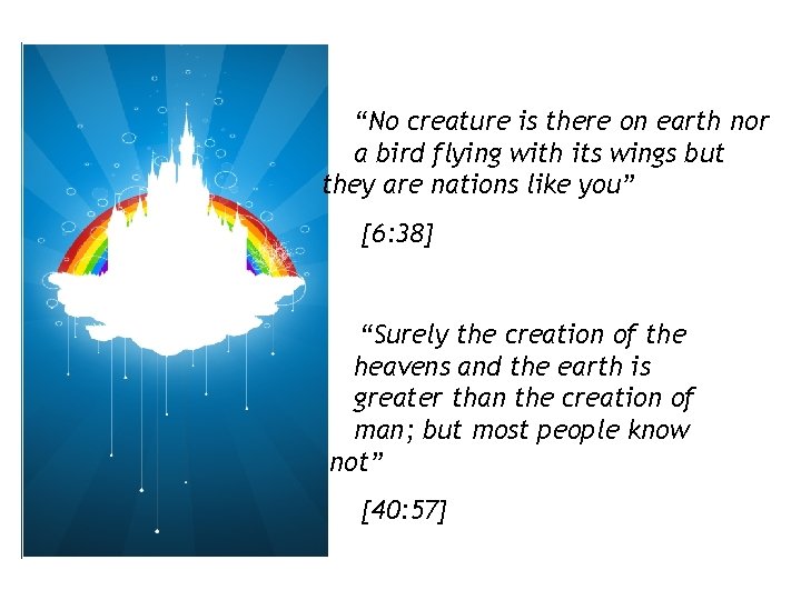 “No creature is there on earth nor a bird flying with its wings but