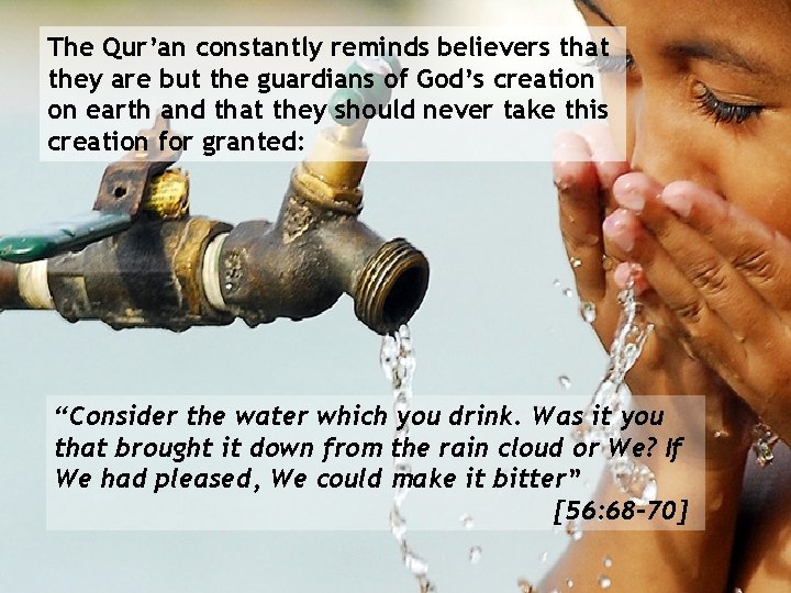 The Qur’an constantly reminds believers that they are but the guardians of God’s creation