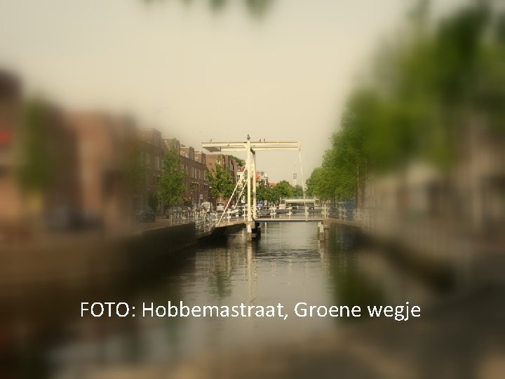 FOTO: Hobbemastraat, Groene wegje FOTO: Hobbemastraat, Groene wegje
