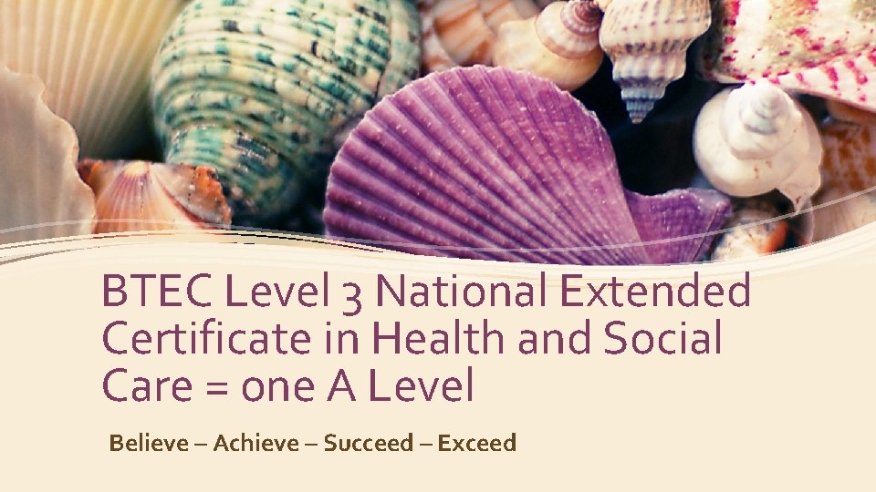 BTEC Level 3 National Extended Certificate in Health and Social Care = one A