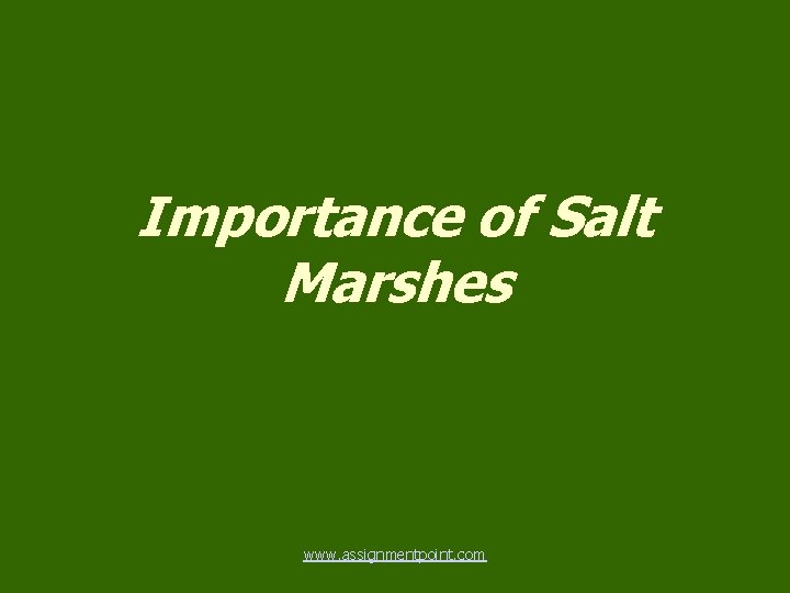 Importance of Salt Marshes www. assignmentpoint. com 