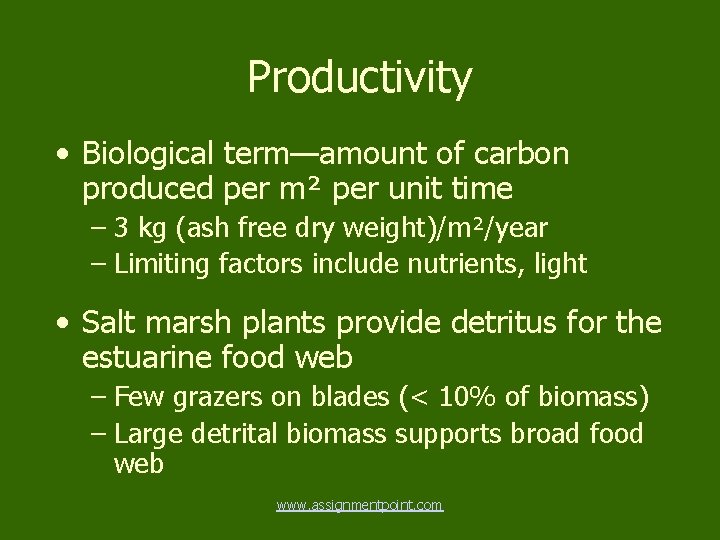 Productivity • Biological term—amount of carbon produced per m² per unit time – 3