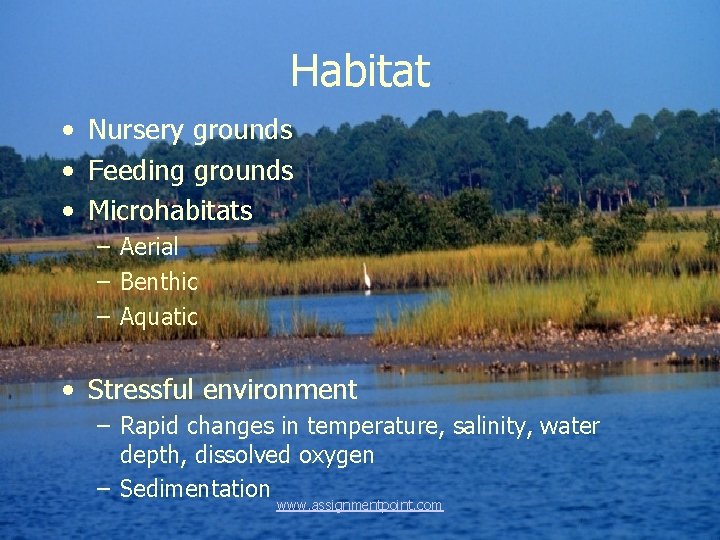 Habitat • Nursery grounds • Feeding grounds • Microhabitats – Aerial – Benthic –