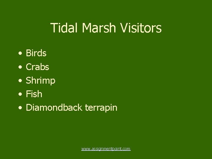 Tidal Marsh Visitors • • • Birds Crabs Shrimp Fish Diamondback terrapin www. assignmentpoint.