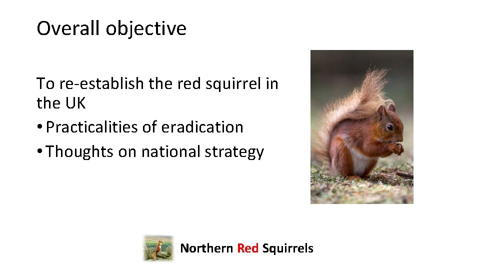 Overall objective To re-establish the red squirrel in the UK • Practicalities of eradication