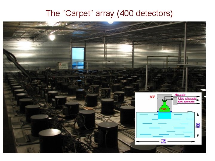 The “Carpet“ array (400 detectors) 