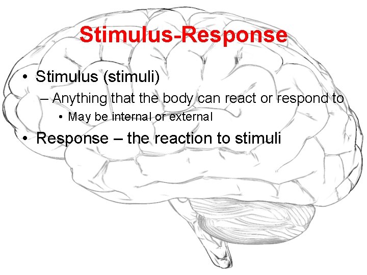 Stimulus-Response • Stimulus (stimuli) – Anything that the body can react or respond to
