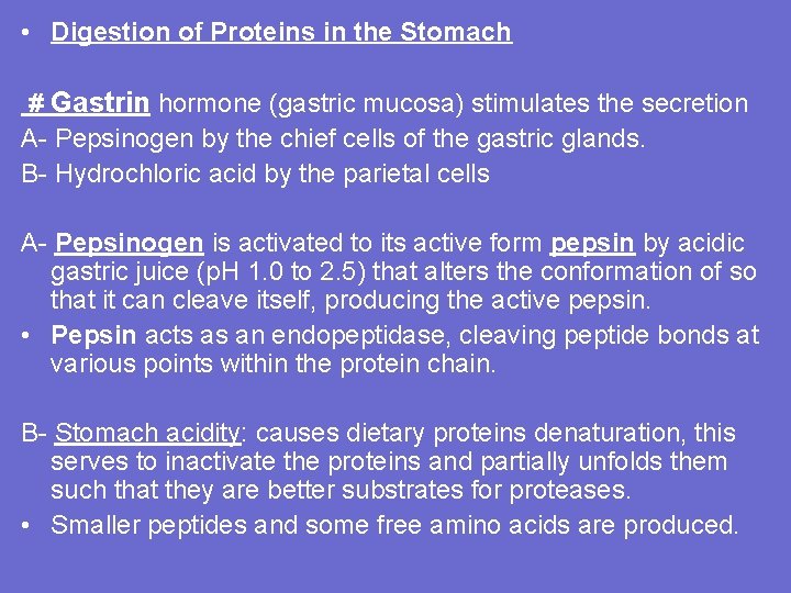  • Digestion of Proteins in the Stomach # Gastrin hormone (gastric mucosa) stimulates