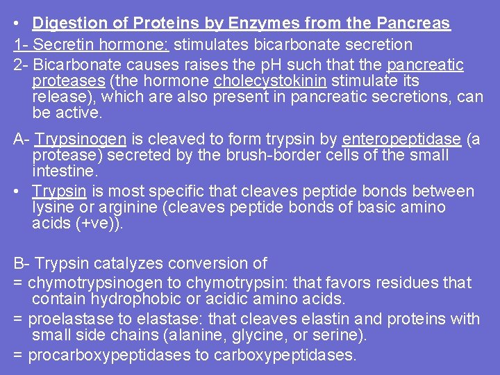  • Digestion of Proteins by Enzymes from the Pancreas 1 - Secretin hormone: