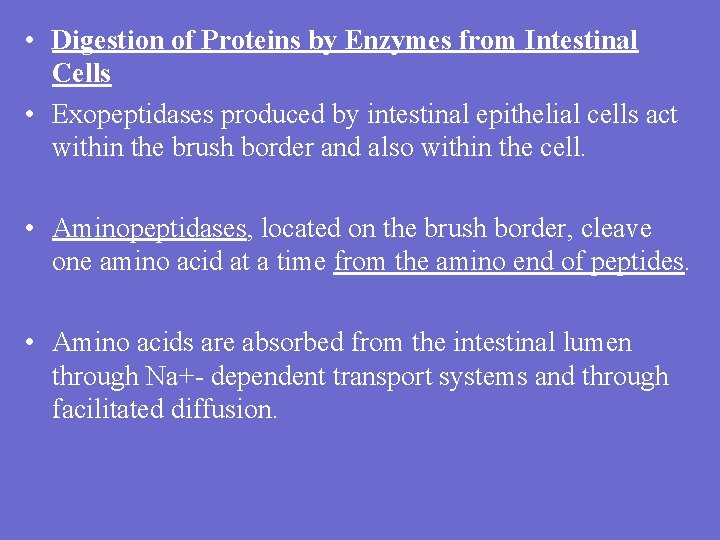 • Digestion of Proteins by Enzymes from Intestinal Cells • Exopeptidases produced by