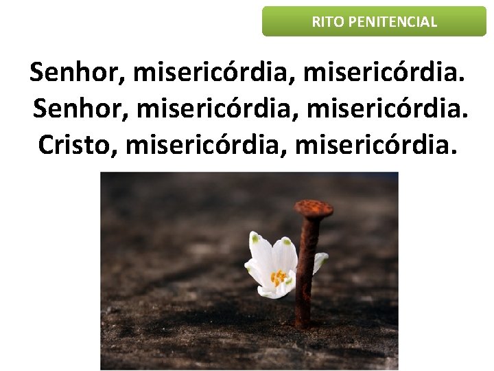 RITO PENITENCIAL Senhor, misericórdia, misericórdia. Cristo, misericórdia. 