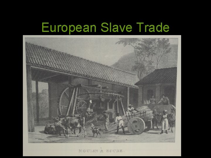 European Slave Trade 