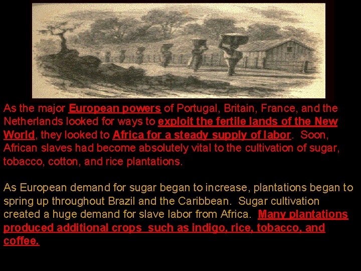 As the major European powers of Portugal, Britain, France, and the Netherlands looked for