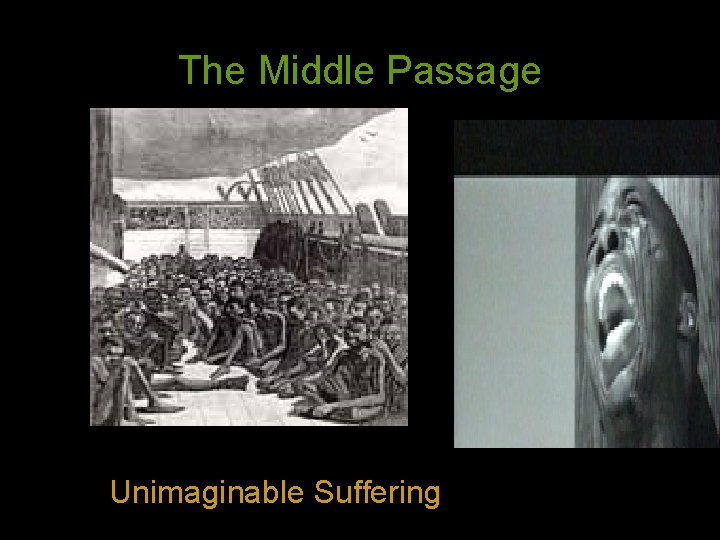 The Middle Passage Unimaginable Suffering 