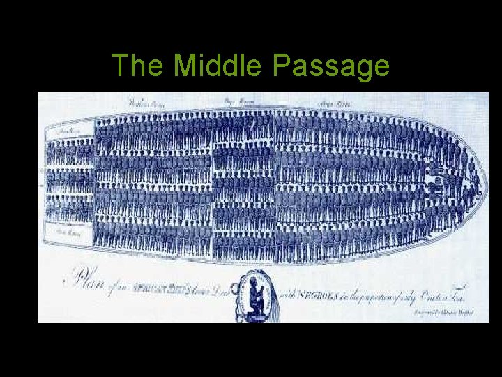 The Middle Passage 