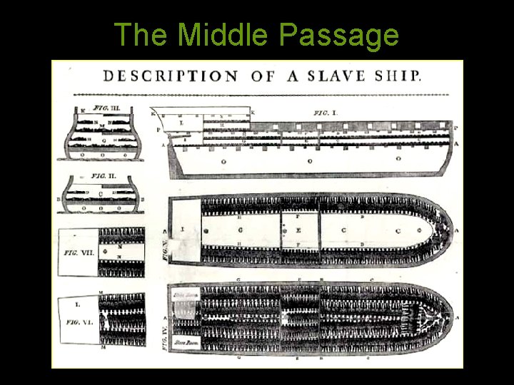 The Middle Passage 