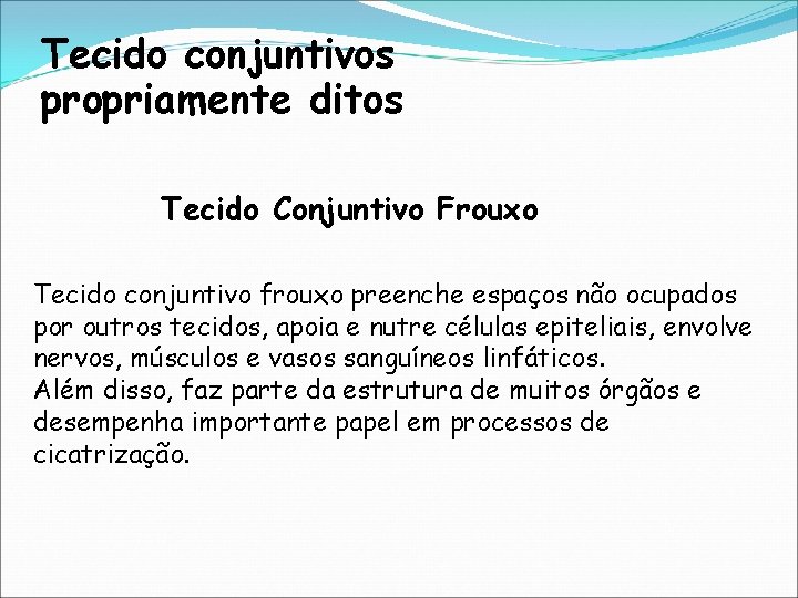 Tecido conjuntivos propriamente ditos Tecido Conjuntivo Frouxo Tecido conjuntivo frouxo preenche espaços não ocupados