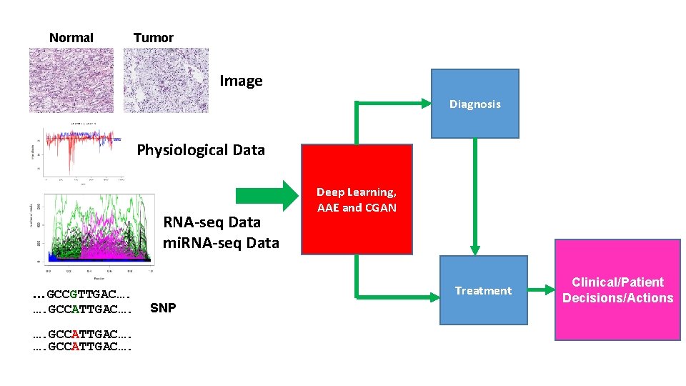 Normal Tumor Image Diagnosis Physiological Data RNA-seq Data mi. RNA-seq Data …GCCGTTGAC…. …. GCCATTGAC….