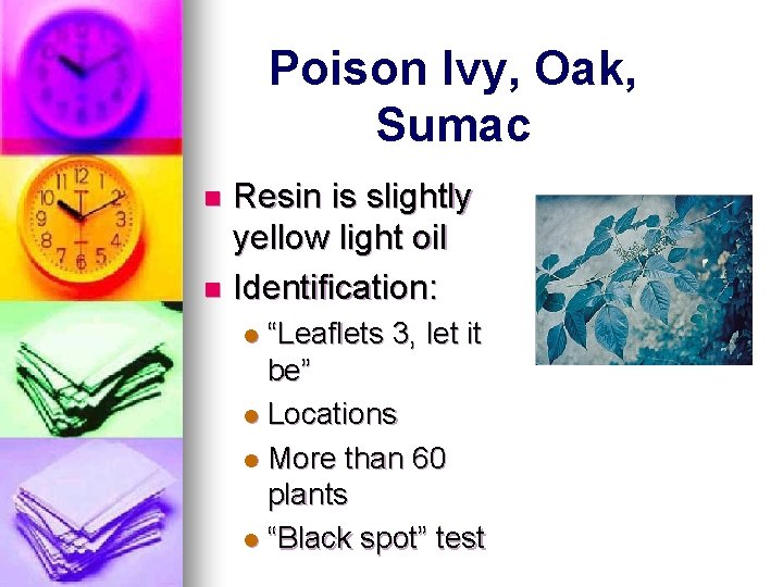 Poison Ivy, Oak, Sumac Resin is slightly yellow light oil n Identification: n “Leaflets Poison Ivy, Oak, Sumac Resin is slightly yellow light oil n Identification: n “Leaflets