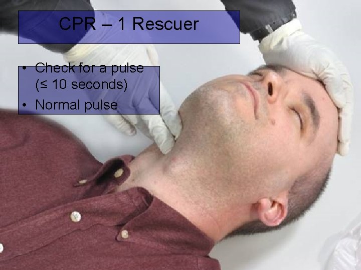 CPR – 1 Rescuer • Check for a pulse (≤ 10 seconds) • Normal