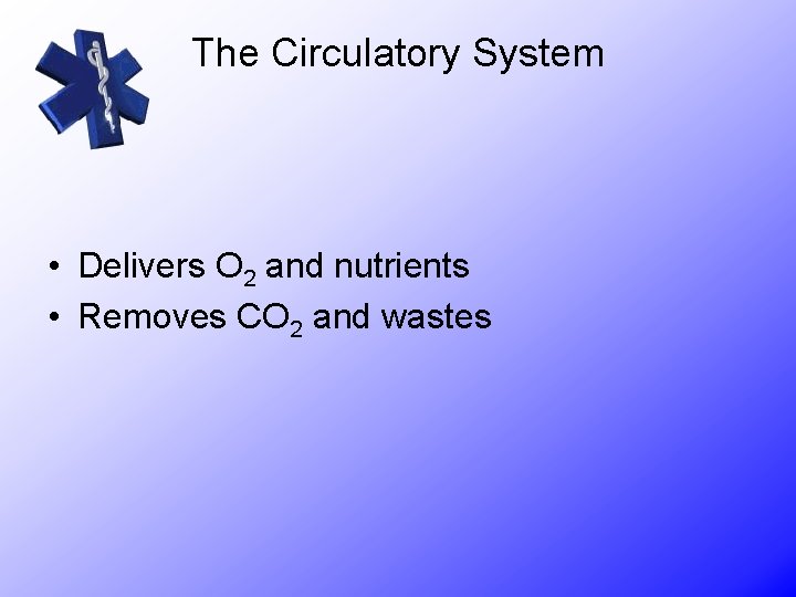 The Circulatory System • Delivers O 2 and nutrients • Removes CO 2 and
