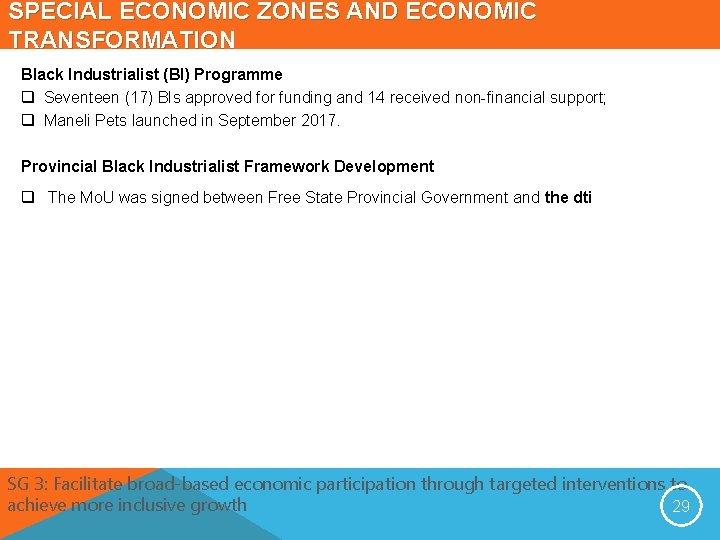 SPECIAL ECONOMIC ZONES AND ECONOMIC TRANSFORMATION Black Industrialist (BI) Programme q Seventeen (17) BIs