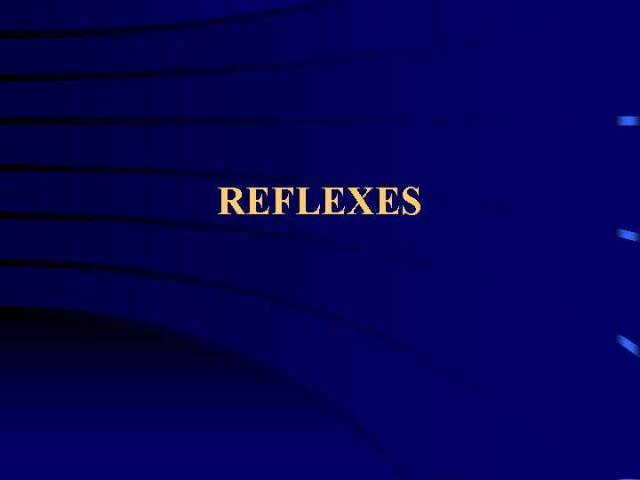 REFLEXES 