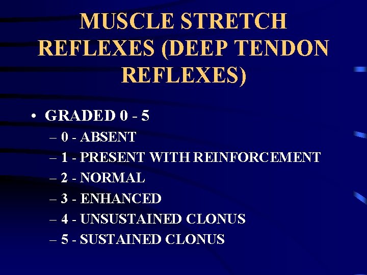 MUSCLE STRETCH REFLEXES (DEEP TENDON REFLEXES) • GRADED 0 - 5 – 0 -