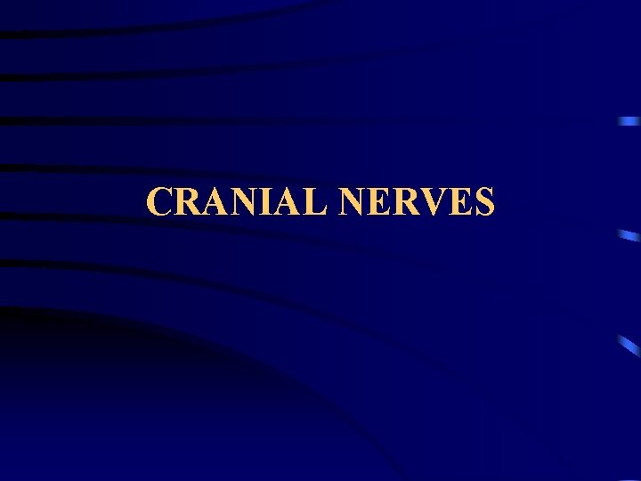CRANIAL NERVES 