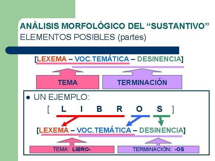 ANÁLISIS MORFOLÓGICO DEL “SUSTANTIVO” ELEMENTOS POSIBLES (partes) [LEXEMA – VOC. TEMÁTICA – DESINENCIA] TEMA