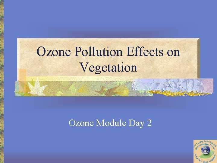 Ozone Pollution Effects on Vegetation Ozone Module Day 2 