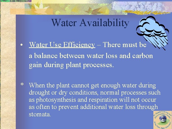 Water Availability • Water Use Efficiency – There must be a balance between water