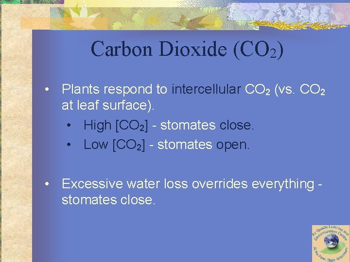 Carbon Dioxide (CO 2) • Plants respond to intercellular CO 2 (vs. CO 2