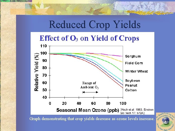 Reduced Crop Yields Graph demonstrating that crop yields decrease as ozone levels increase. 