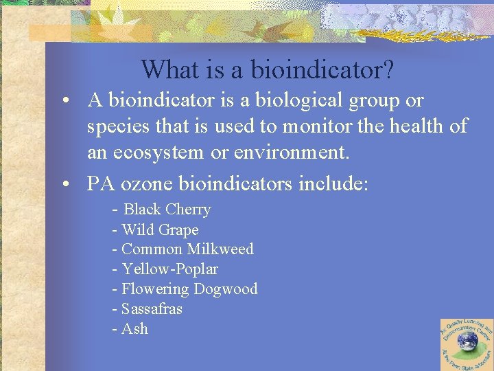 What is a bioindicator? • A bioindicator is a biological group or species that