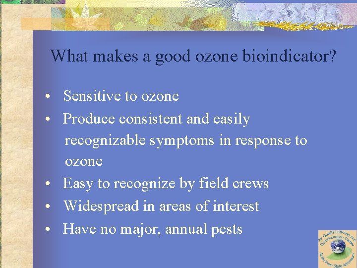 What makes a good ozone bioindicator? • Sensitive to ozone • Produce consistent and