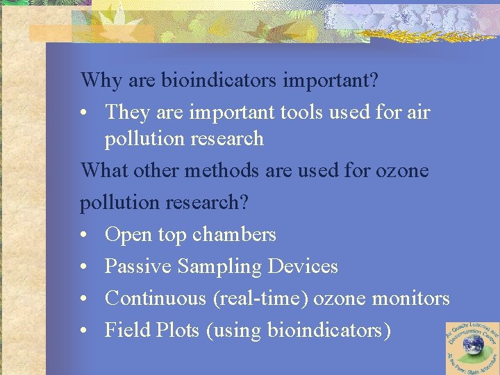 Why are bioindicators important? • They are important tools used for air pollution research