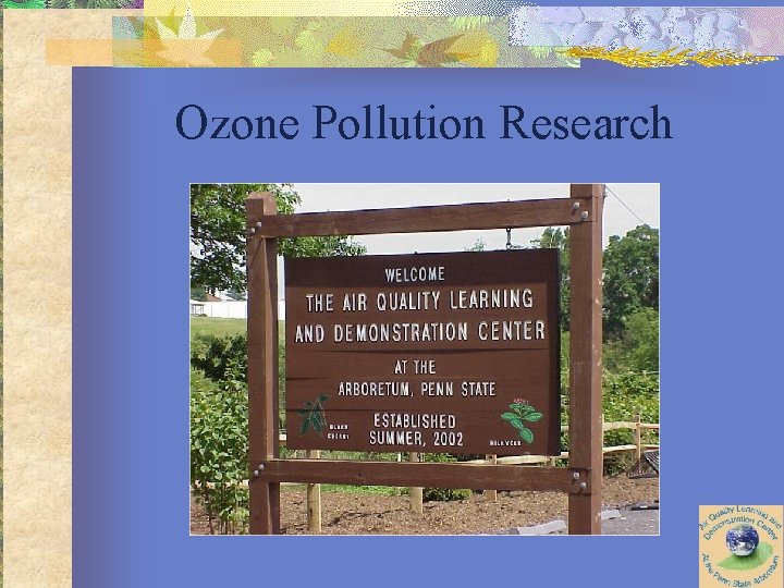 Ozone Pollution Research 