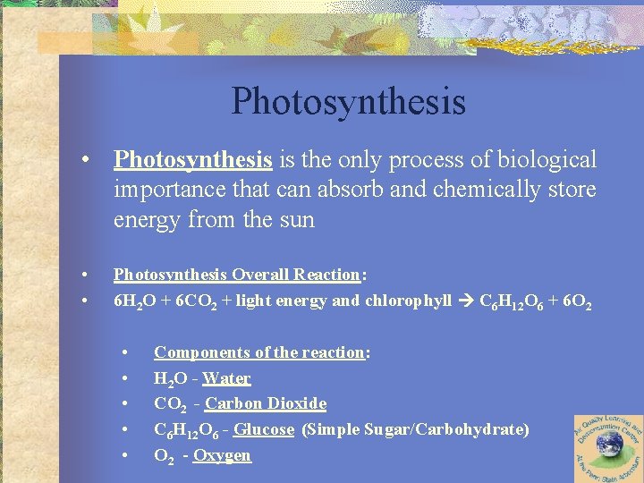Photosynthesis • Photosynthesis is the only process of biological importance that can absorb and