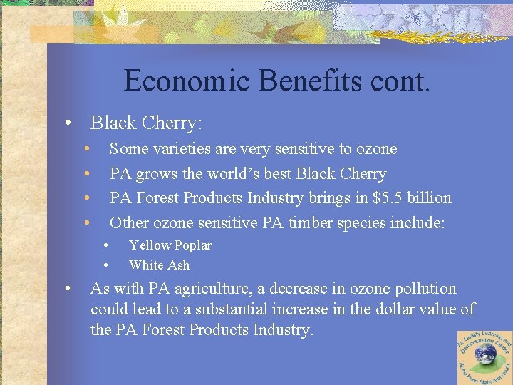 Economic Benefits cont. • Black Cherry: • • Some varieties are very sensitive to