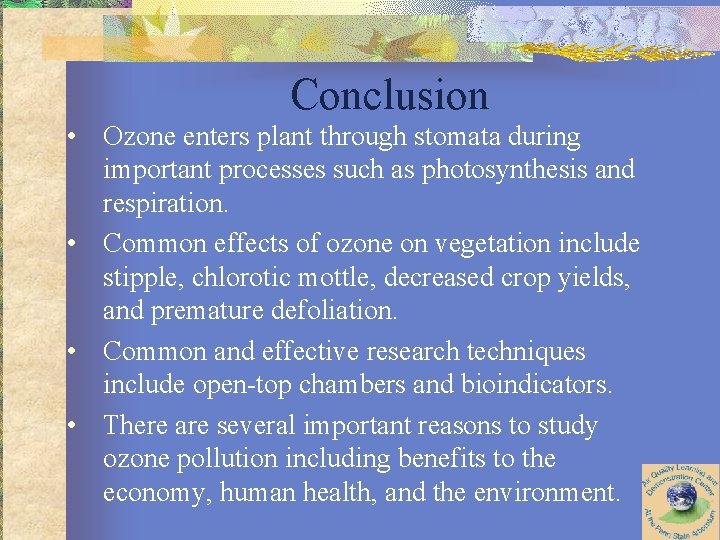 Conclusion • Ozone enters plant through stomata during important processes such as photosynthesis and